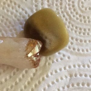 Meet your Posher, Cody